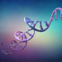 &nbsp;Learn about analyzing mRNA with direct sequence mapping&nbsp;