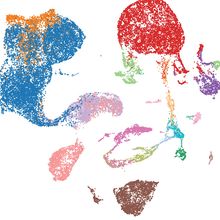 A graph showing how scGPT groups cells, each represented as a dot, into cell types, shown as clusters of dots of the same color.