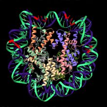 Methylation Sequencing to Identify Potential Cancer Biomarkeres&nbsp;