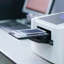 Explore How Microplate-Based Cellular Assays Advance Life Science Research