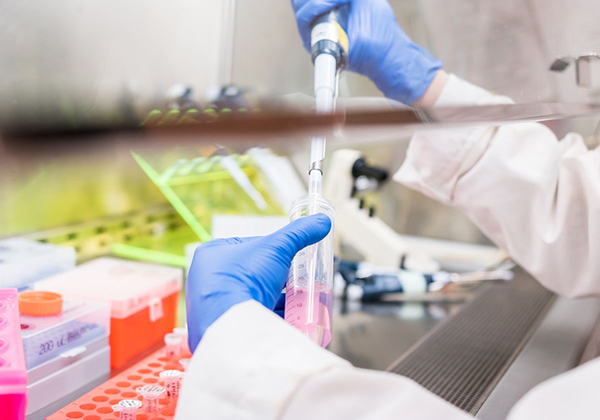 Scientist working in a biosafety cabinet