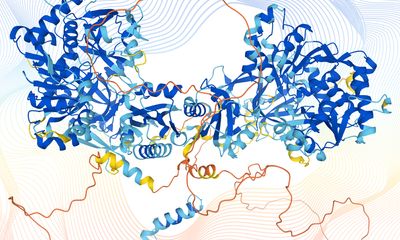 Ribbon Protein Structure