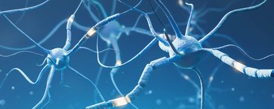 illustration of neurons in blue with synapses lighting up