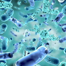 43730-ts-gut-microbiome-webinar-banner-jp800x560