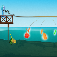 Illustration showing how this new novel nanotechnology simultaneously &lsquo;fishes&rsquo; for multiple viruses or viral variants using different DNA nanobait that are designed to target specific viral sequences.